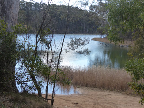 Backfellows Lake